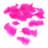 Penas Decorativas para Festa 100 Unidades - Pink