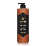 Tratamento Kerasys Propolis Shine 1L