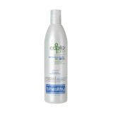 Condicionador Capilo PRO B-Healthy Argan and Coconut Oil 474ml