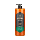 Shampoo Kerasys Propolis Green 1L