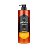 Tratamento Kerasys Propolis Royal 1L