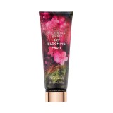 Loo Corporal Victoria's Secret Sky Blooming Fruit 236ml