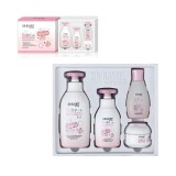 Kit Dr Rashel Baby Care Camellia Oil DRL-1798 4pcs