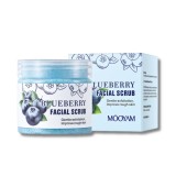 Esfoliante Facial Moyam Blueberries 100g 