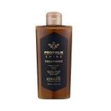 Tratamento Capilar Kerasys Propolis Shine 180ml