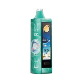 Dispositivo Descartvel ELF BAR Planet 25000 Puffs Sea Breeze Mint