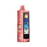 Dispositivo Descartvel ELF BAR Planet 25000 Puffs Watermelon