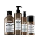 Kit Capilar L'Oral Absolut Repair Molecular 4 Passos 3533