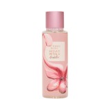 Body Splash Victoria's Secret Velvet Petals Brulee 250ml