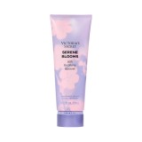 Loçâo Corporal Victoria's Secret Serene Blooms 236ml