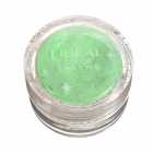 Glitter Pigmento Lid�al LDE09-19 Verde