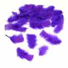 Penas Decorativas para Festa 100 Unidades - Lil�s