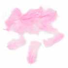 Penas Decorativas para Festa 100 Unidades - Rosa