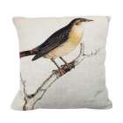 Capa de Almofada P�ssaro