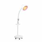 L�mpada Infravermelha Pedestal 220V