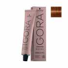 Tinta de Cabelo Igora Royal Absolutes Age Blend 8-60 60g