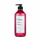 Shampoo Dr. Rooteer Anti-Hair Loss Solution Fruity Fragrance 800ml