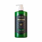 Tratamento Condicionador Kerasys Propolis Green 1L