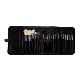 Kit de Pincis Icandy 2023 21pcs