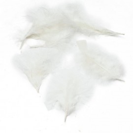 Penas Decorativas para Festa 100 Unidades - Branco