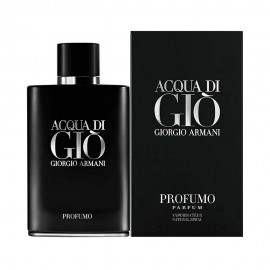 Perfume Giorgio Armani Acqua Di Gi Profumo Parfum Masculino 125ml