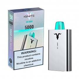 Dispositivo Descartvel Ignite V50 5000 Puffs Icy Mint