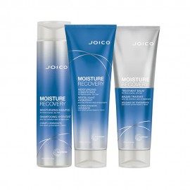 Kit Capilar Joico Moisture Recovery Pequeno 3pcs