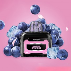 Cartucho de Substituio MaxBar Jupiter Refill 10K Sakura Grape Ice