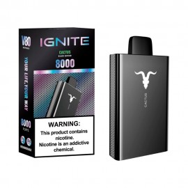 Dispositivo Descartvel Ignite V80 8000 Puffs Cactus