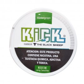 Saquinhos de Nicotina KICK Wintergreen 4mg 