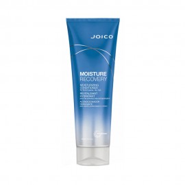 Condicionador Joico Moisture Recovery 250ml