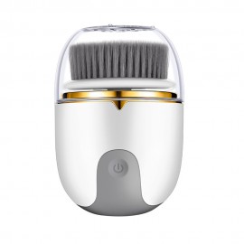 Mini Limpador Facial Eltrico DS-8823 FB3