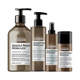 Kit Capilar L'Oral Absolut Repair Molecular 4 Passos 3557