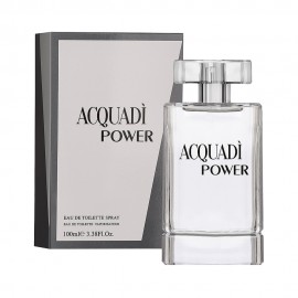 Perfume Acquad Power EDT Masculino 100ml
